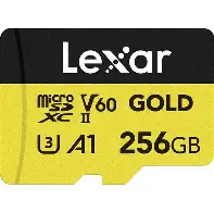 Carte mémoire 256GB UHS-II